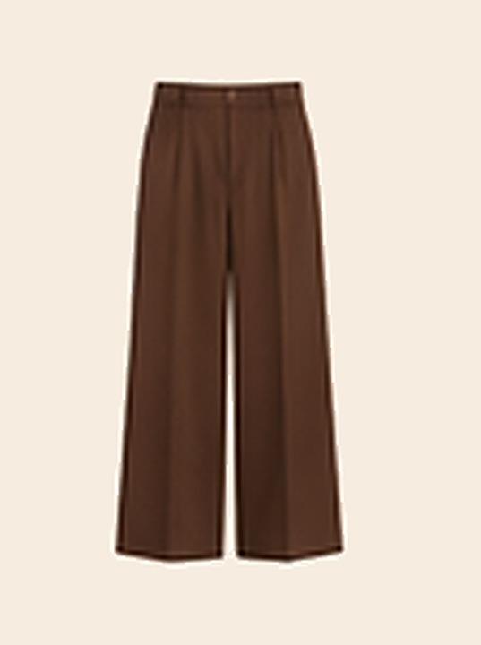 Brown Pleated Dress Pants